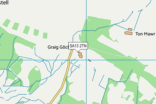 SA13 2TN map - OS VectorMap District (Ordnance Survey)