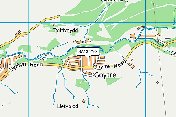 SA13 2YG map - OS VectorMap District (Ordnance Survey)