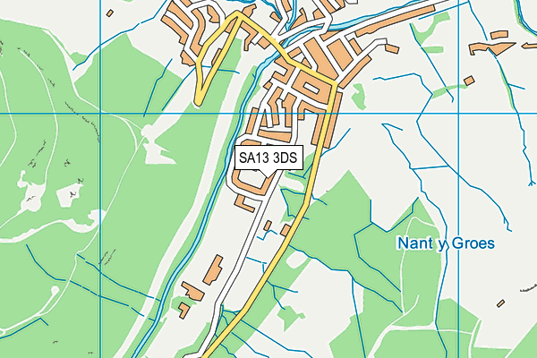 SA13 3DS map - OS VectorMap District (Ordnance Survey)