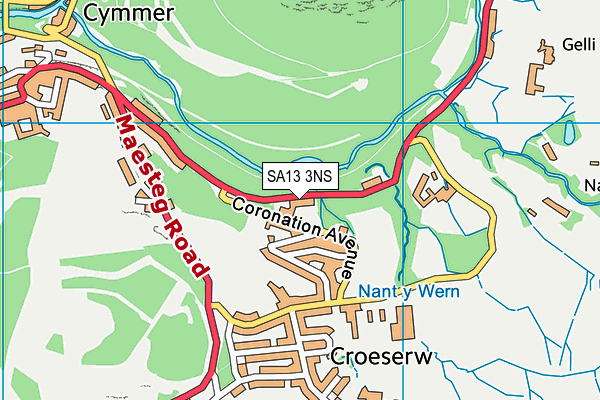 SA13 3NS map - OS VectorMap District (Ordnance Survey)