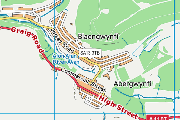 SA13 3TB map - OS VectorMap District (Ordnance Survey)