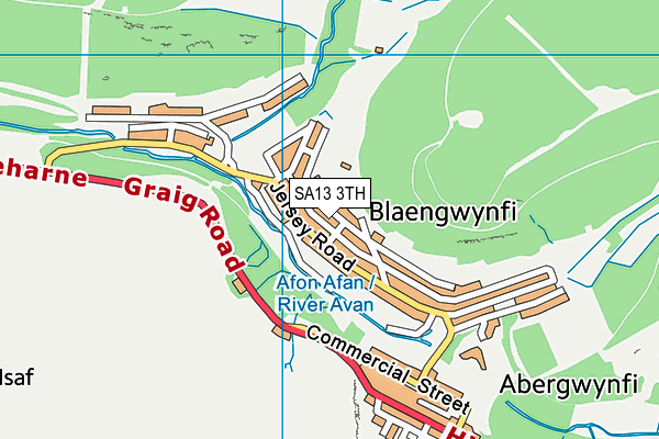 SA13 3TH map - OS VectorMap District (Ordnance Survey)