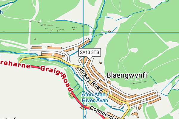 SA13 3TS map - OS VectorMap District (Ordnance Survey)