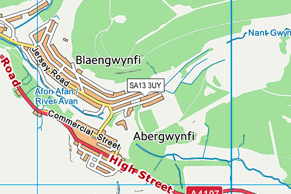 SA13 3UY map - OS VectorMap District (Ordnance Survey)