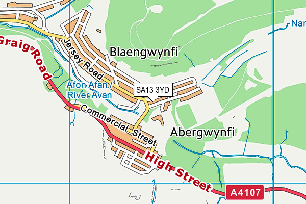 SA13 3YD map - OS VectorMap District (Ordnance Survey)