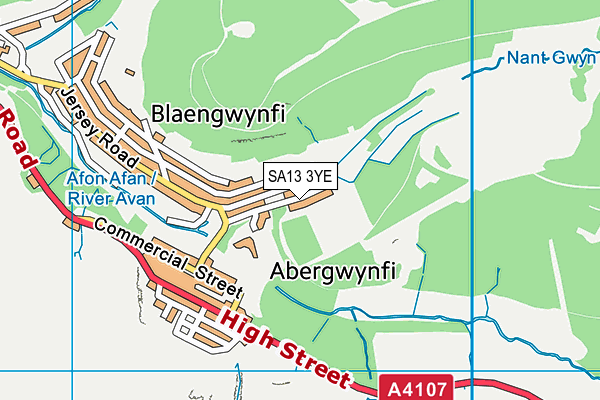 SA13 3YE map - OS VectorMap District (Ordnance Survey)