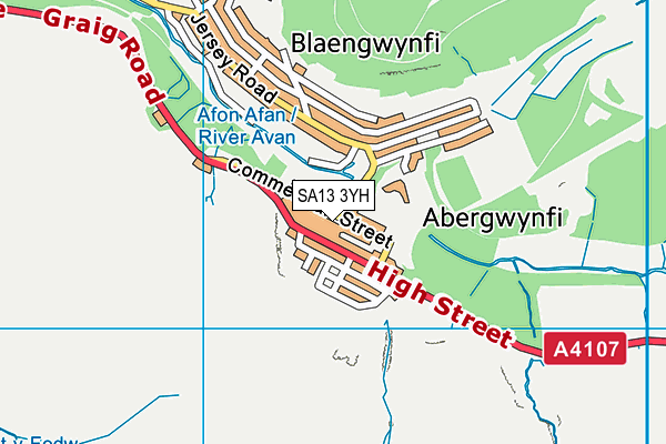 SA13 3YH map - OS VectorMap District (Ordnance Survey)