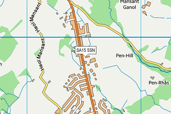 Gwynfryn CP School map (SA15 5SN) - OS VectorMap District (Ordnance Survey)