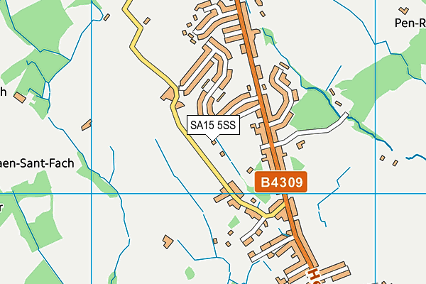 SA15 5SS map - OS VectorMap District (Ordnance Survey)