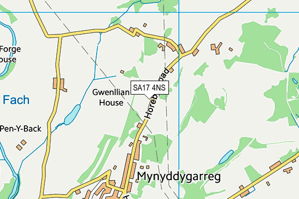 SA17 4NS map - OS VectorMap District (Ordnance Survey)