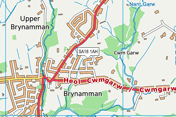 Brynaman C P School map (SA18 1AH) - OS VectorMap District (Ordnance Survey)