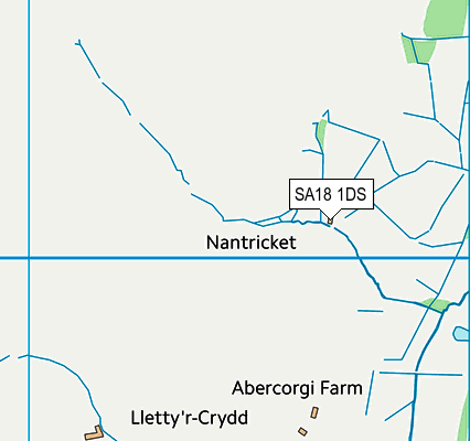 SA18 1DS map - OS VectorMap District (Ordnance Survey)
