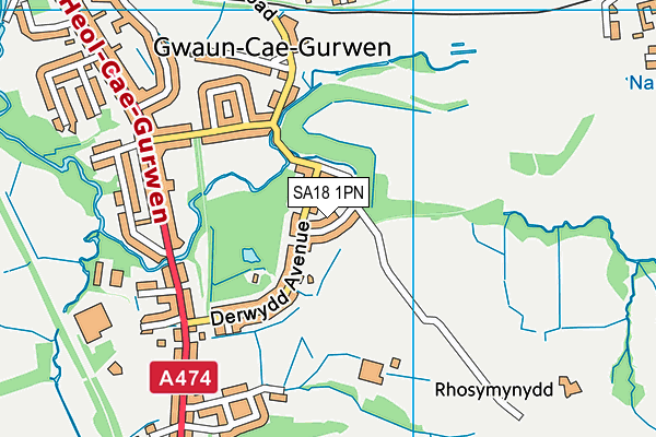 SA18 1PN map - OS VectorMap District (Ordnance Survey)