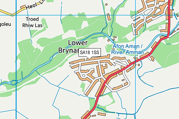 SA18 1SS map - OS VectorMap District (Ordnance Survey)