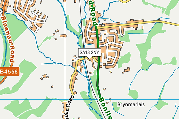 SA18 2NY map - OS VectorMap District (Ordnance Survey)