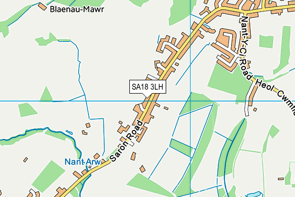 Ysgol Gynradd Saron map (SA18 3LH) - OS VectorMap District (Ordnance Survey)