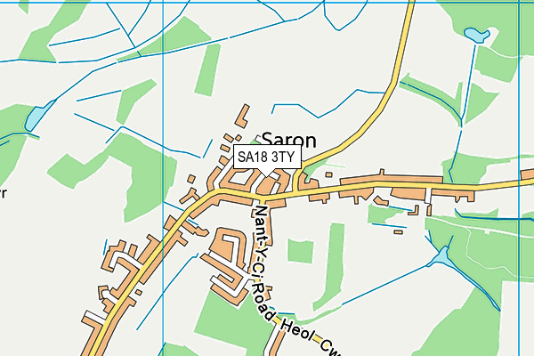 SA18 3TY map - OS VectorMap District (Ordnance Survey)