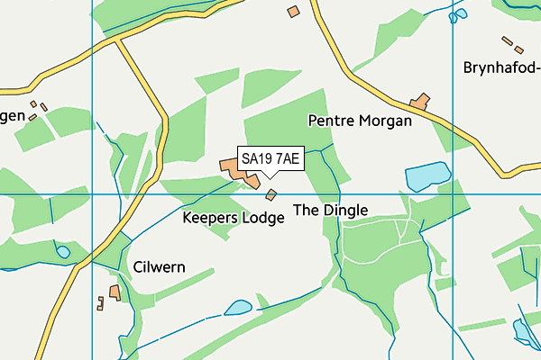 SA19 7AE map - OS VectorMap District (Ordnance Survey)