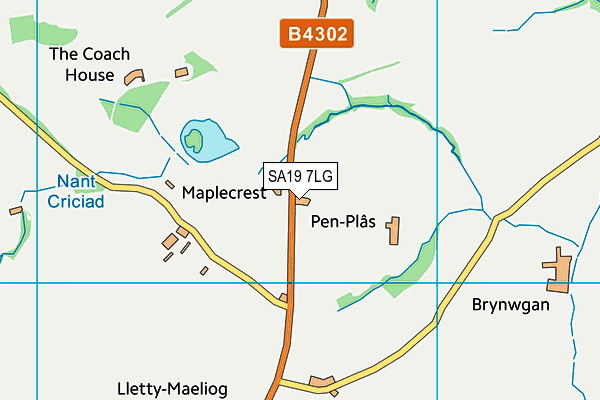 SA19 7LG map - OS VectorMap District (Ordnance Survey)