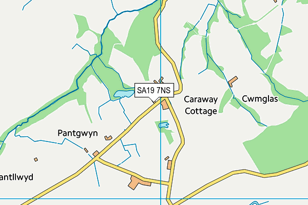 SA19 7NS map - OS VectorMap District (Ordnance Survey)