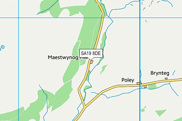 SA19 8DE map - OS VectorMap District (Ordnance Survey)