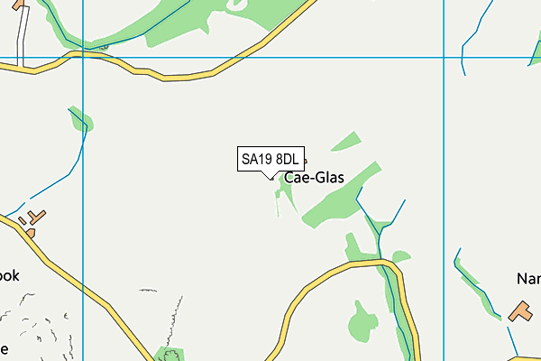 SA19 8DL map - OS VectorMap District (Ordnance Survey)