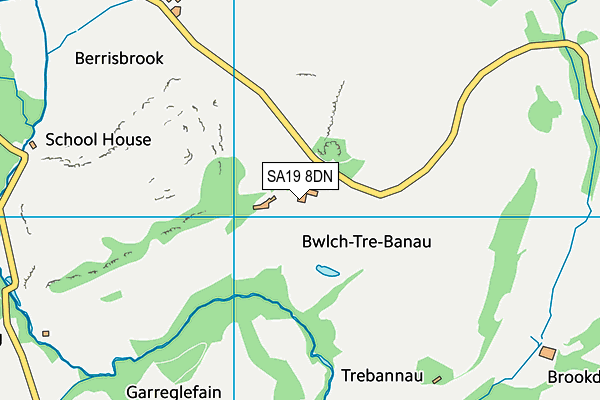 SA19 8DN map - OS VectorMap District (Ordnance Survey)