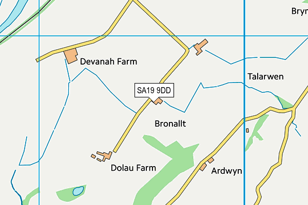 SA19 9DD map - OS VectorMap District (Ordnance Survey)