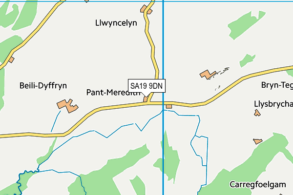 SA19 9DN map - OS VectorMap District (Ordnance Survey)