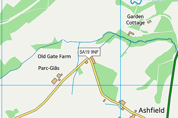 SA19 9NF map - OS VectorMap District (Ordnance Survey)