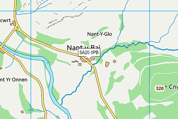 SA20 0PB map - OS VectorMap District (Ordnance Survey)