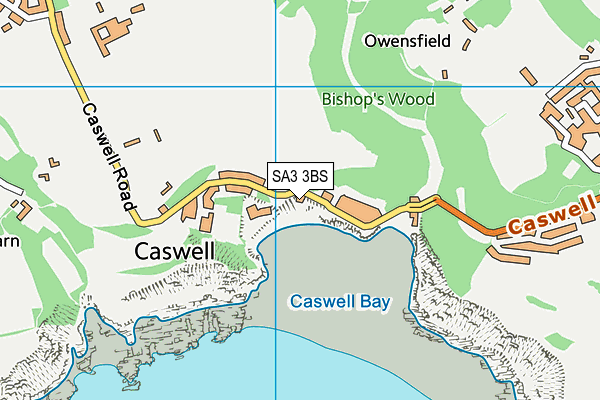 SA3 3BS map - OS VectorMap District (Ordnance Survey)