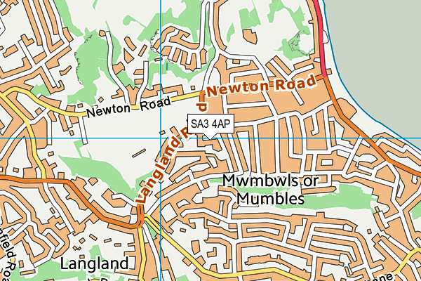 SA3 4AP map - OS VectorMap District (Ordnance Survey)