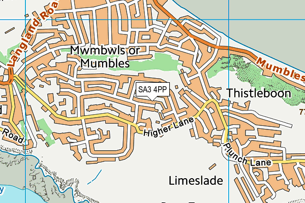 SA3 4PP map - OS VectorMap District (Ordnance Survey)