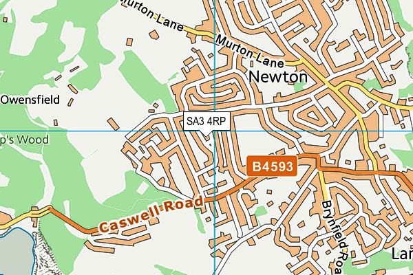 SA3 4RP map - OS VectorMap District (Ordnance Survey)