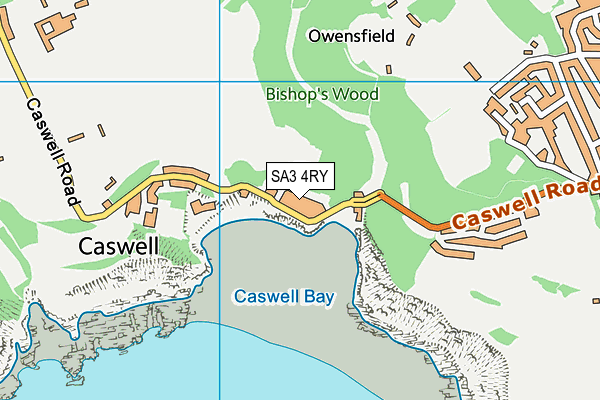 SA3 4RY map - OS VectorMap District (Ordnance Survey)