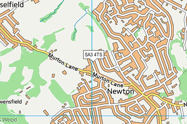 SA3 4TS map - OS VectorMap District (Ordnance Survey)