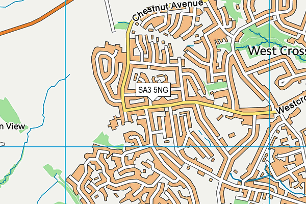 SA3 5NG map - OS VectorMap District (Ordnance Survey)