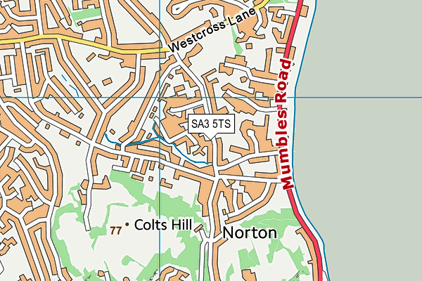 Grange Primary School map (SA3 5TS) - OS VectorMap District (Ordnance Survey)