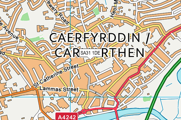 SA31 1DE map - OS VectorMap District (Ordnance Survey)