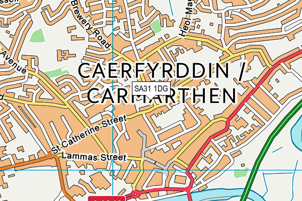 SA31 1DG map - OS VectorMap District (Ordnance Survey)