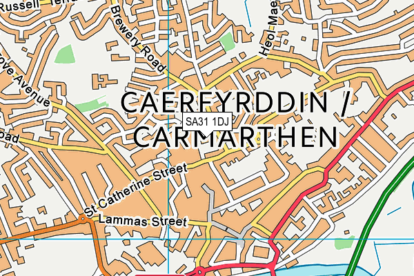 SA31 1DJ map - OS VectorMap District (Ordnance Survey)