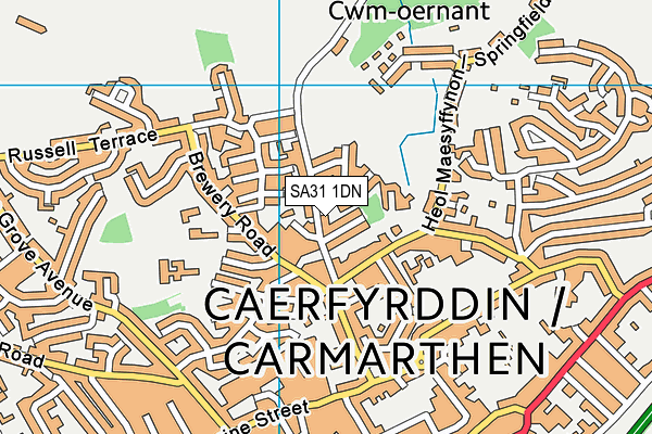 SA31 1DN map - OS VectorMap District (Ordnance Survey)