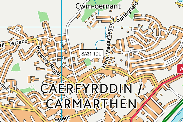 SA31 1DU map - OS VectorMap District (Ordnance Survey)