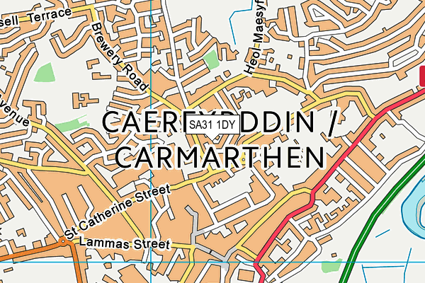 SA31 1DY map - OS VectorMap District (Ordnance Survey)