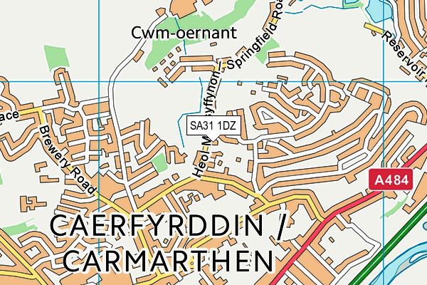 SA31 1DZ map - OS VectorMap District (Ordnance Survey)