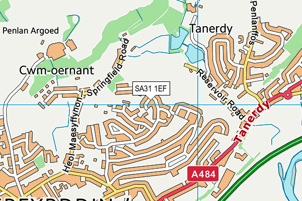 SA31 1EF map - OS VectorMap District (Ordnance Survey)