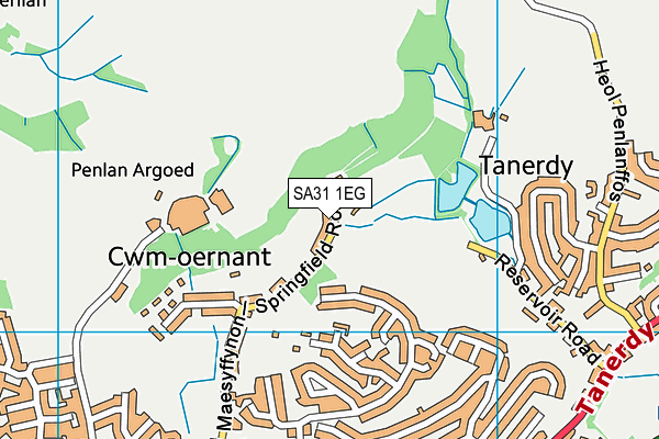 SA31 1EG map - OS VectorMap District (Ordnance Survey)