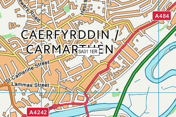 SA31 1ER map - OS VectorMap District (Ordnance Survey)