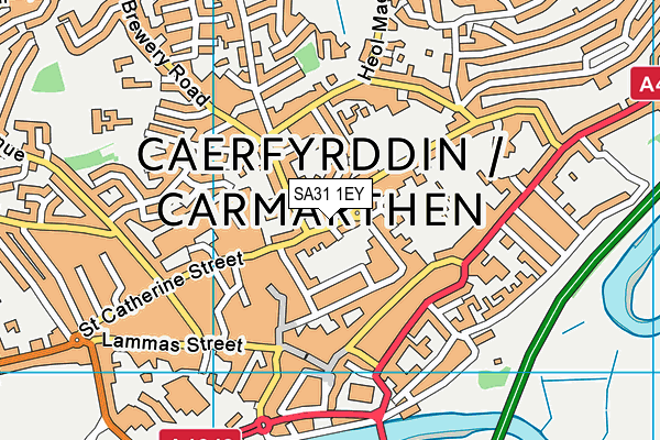SA31 1EY map - OS VectorMap District (Ordnance Survey)